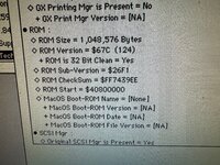 IMG_2123.jpeg
